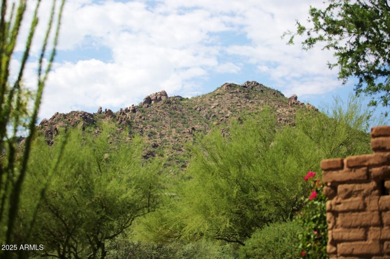 Fox Tail Trail (11)