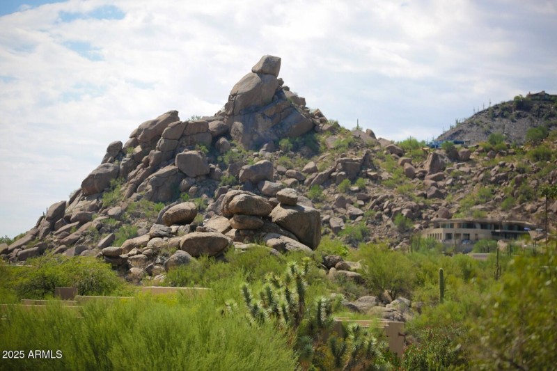 Fox Tail Trail (50)