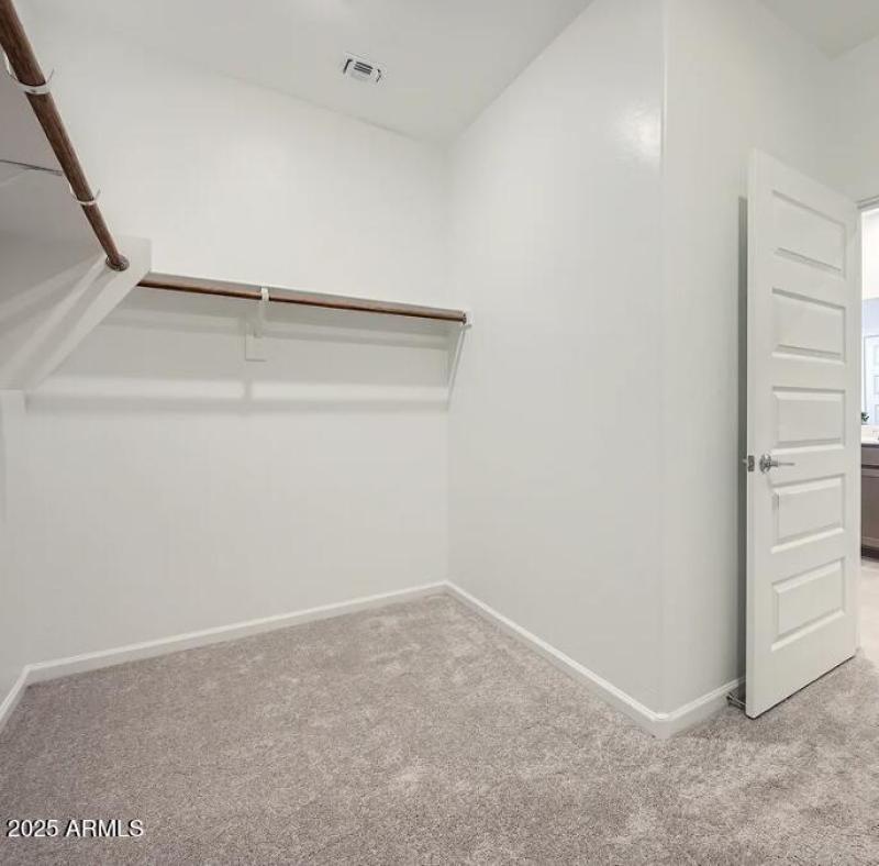 Owners Walk in Closet