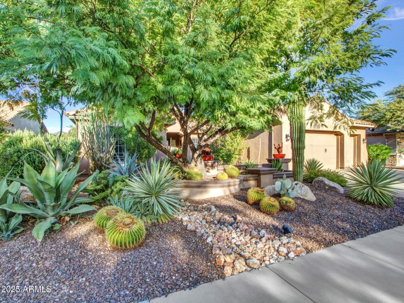 Front Yard