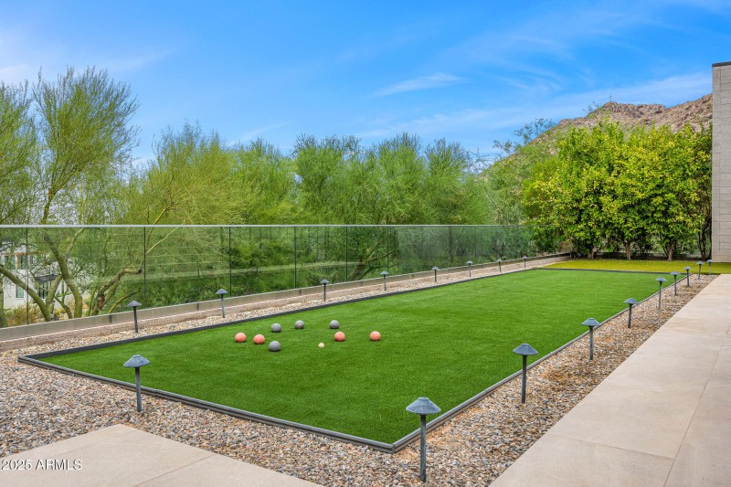 backyard turf