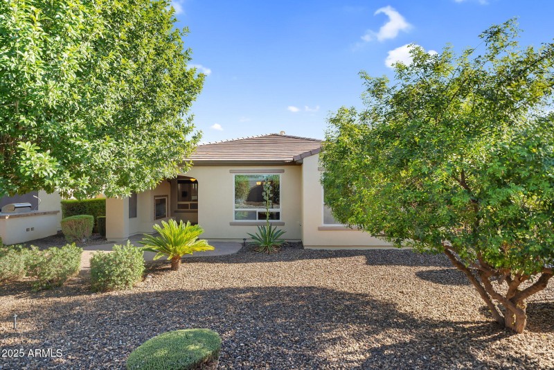 Spacious Backyard!