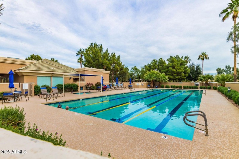 Lap Pool