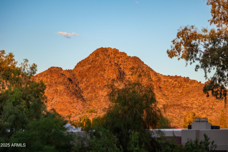 1717 E Morten Ave #62-48