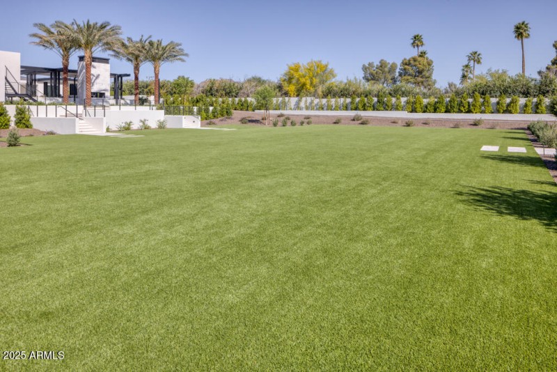 Expansive Backyard