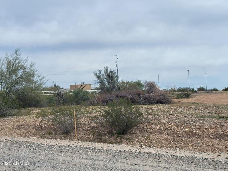 pic 2