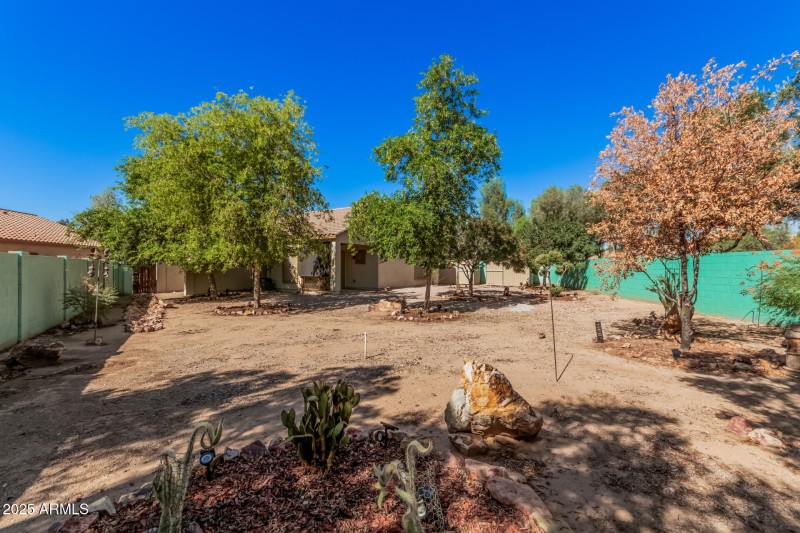 29 Saguaro