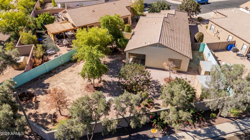 34 Saguaro