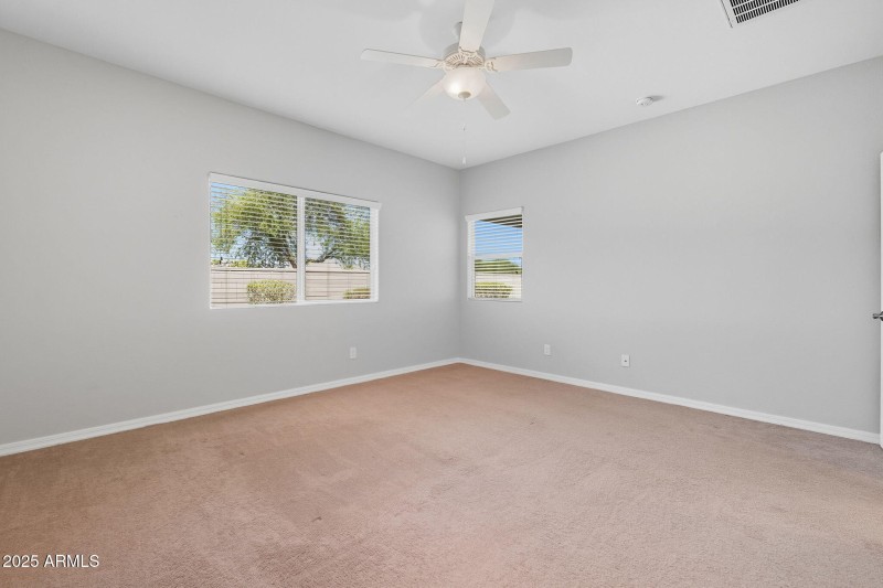 23-web-or-mls-Tulip-23