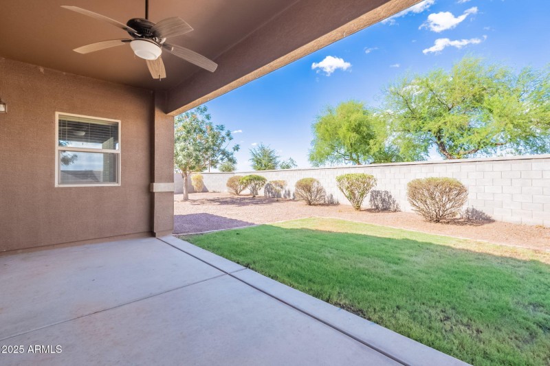 39-web-or-mls-Tulip-39
