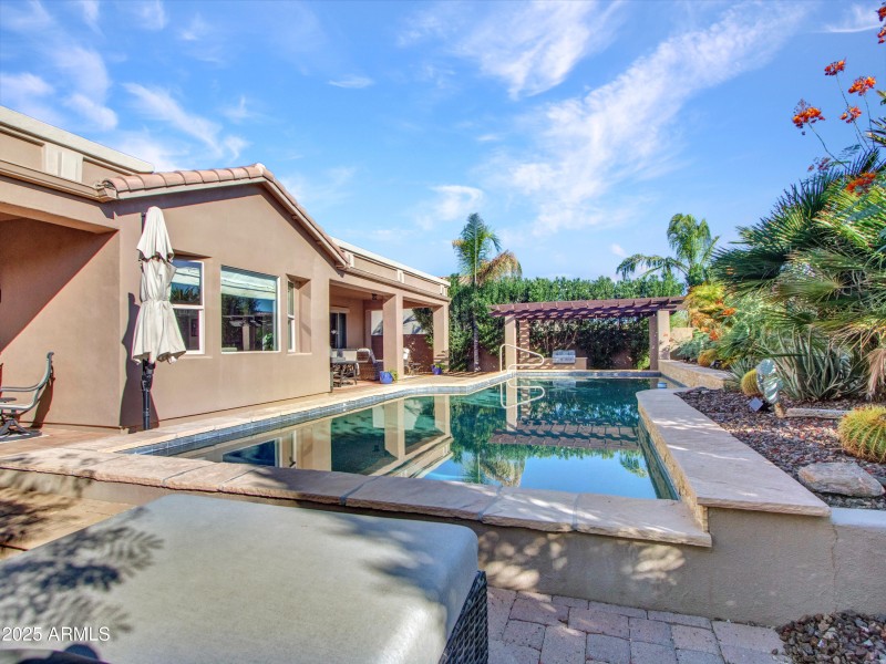 Backyard Oasis