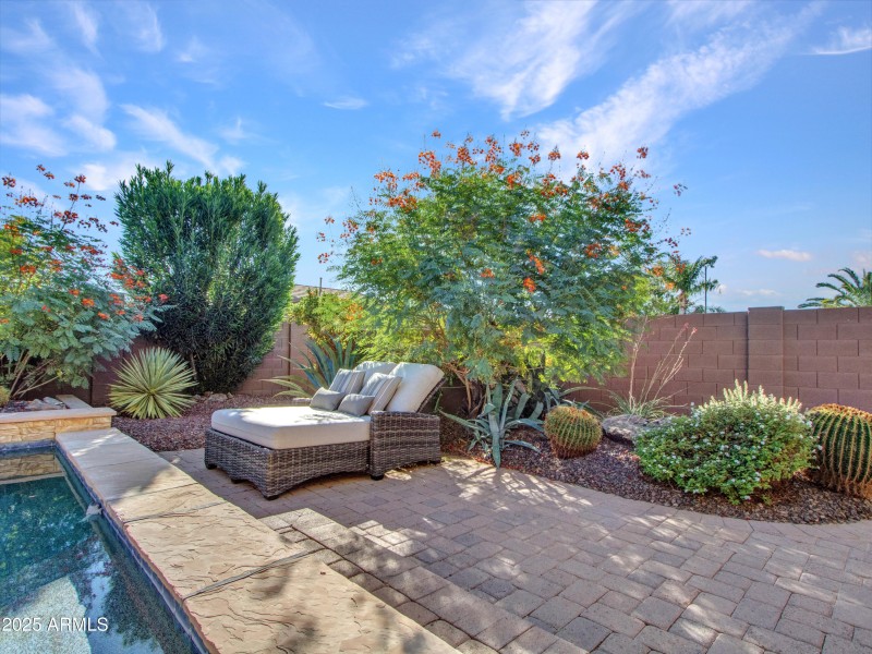 Backyard Oasis