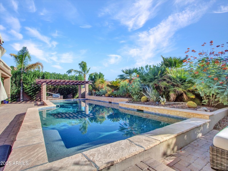 Backyard Oasis