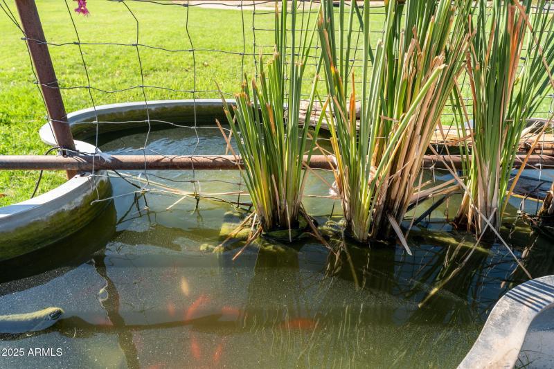 32-web-or-mls-DSC09634