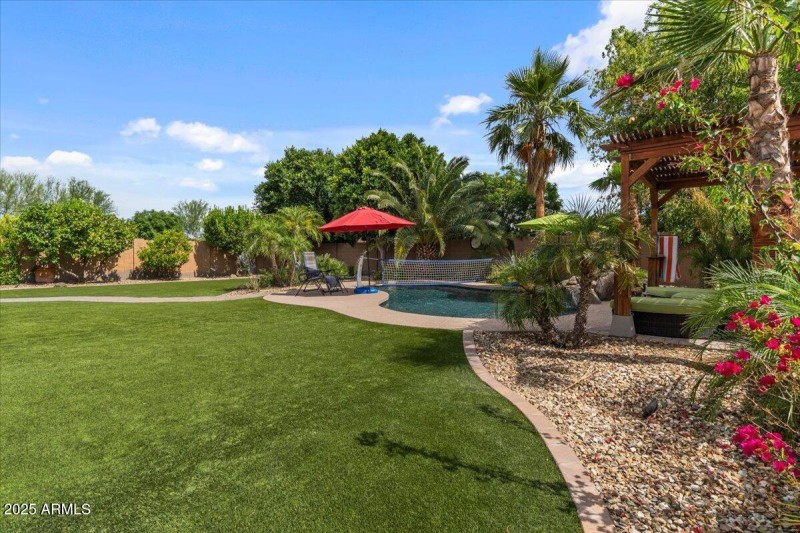 45-Back yard