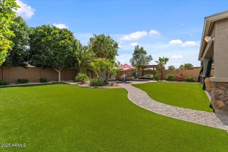 52-Back yard