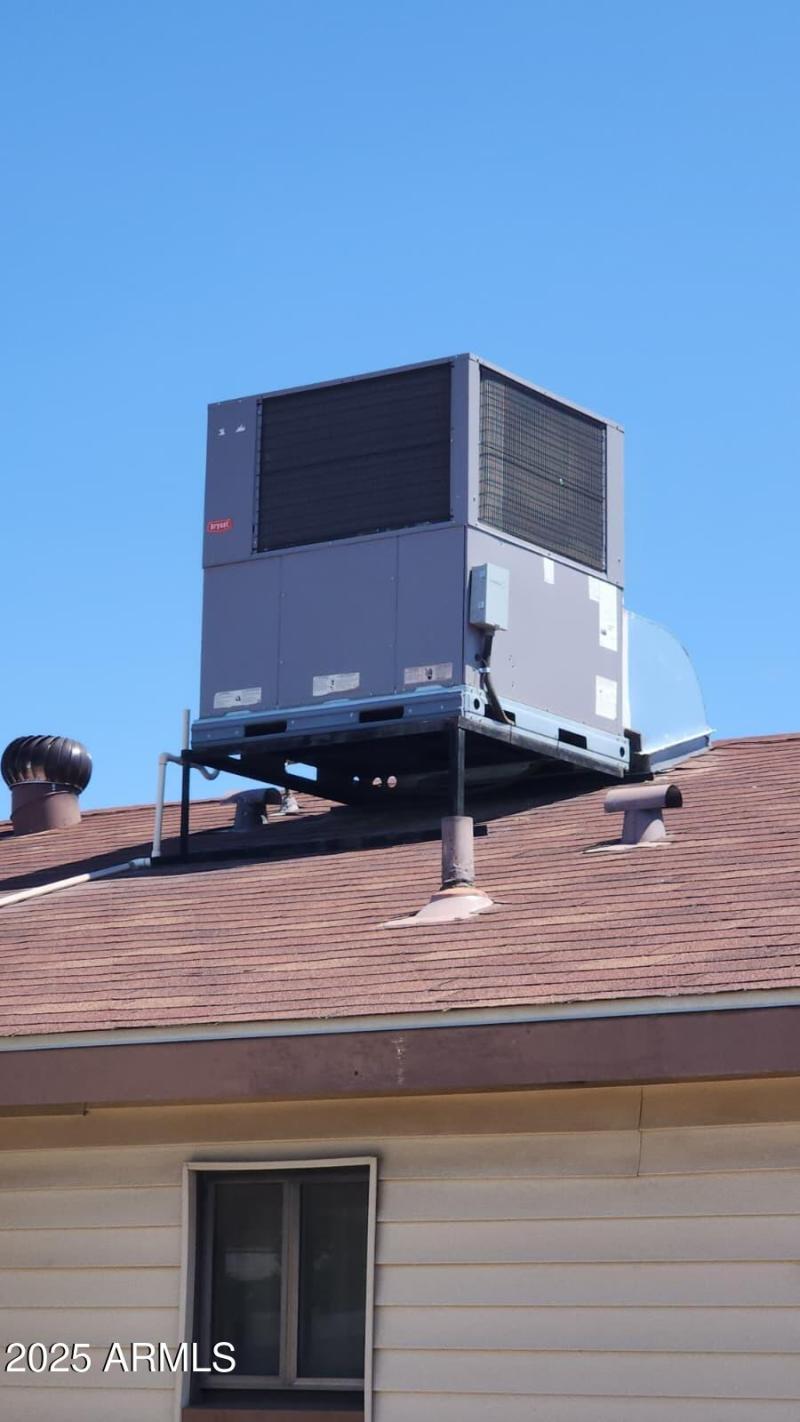 PHOTO-2025-09-10-18-39-57 copy