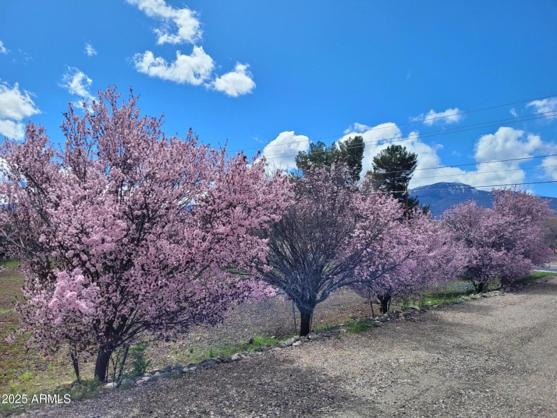 315 S. Willard Exterior 4