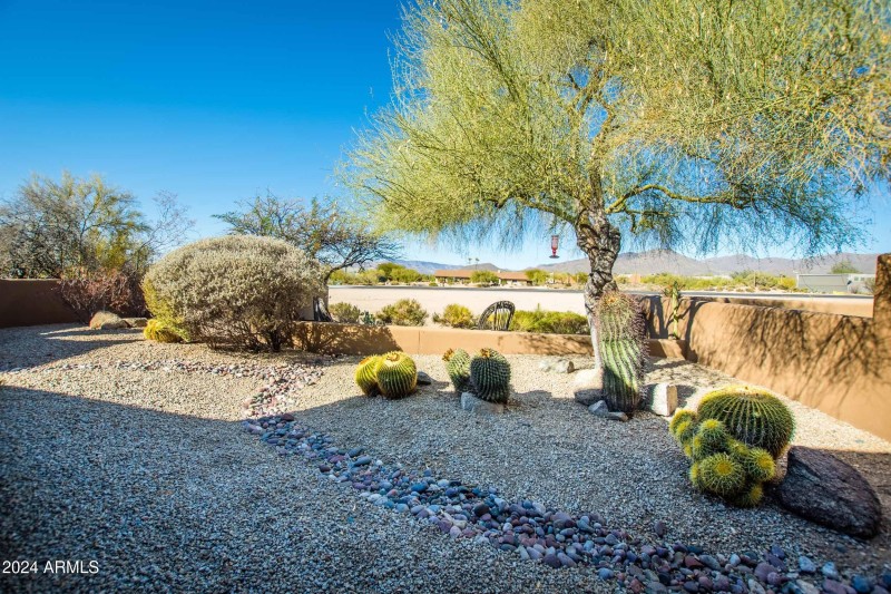 rear backyard with mountain views