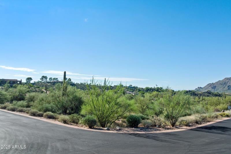 Corner Ocotillo Ridge and Crested Quail