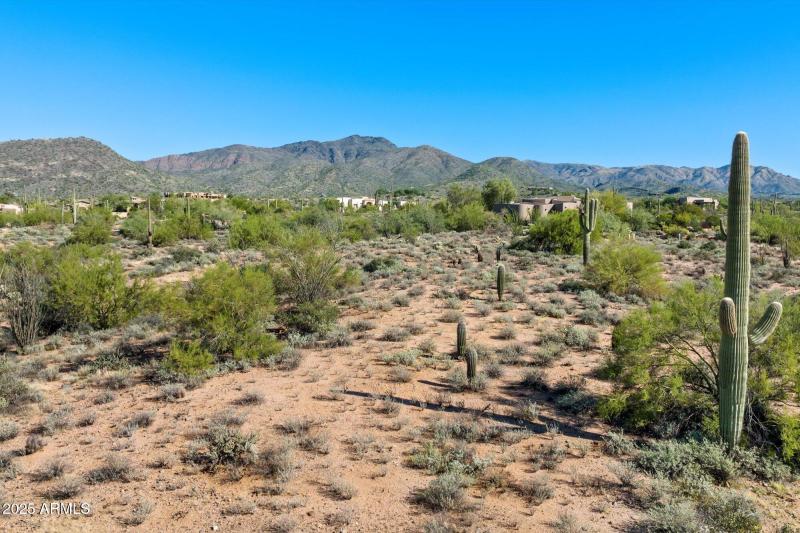 Continental / Gold Mountains