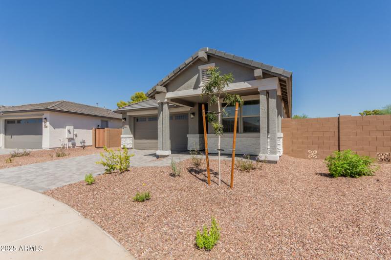 05 - Las Palmaritas 5322