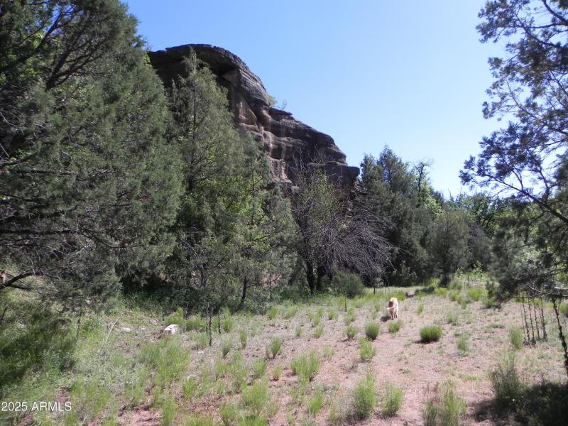 Rocks