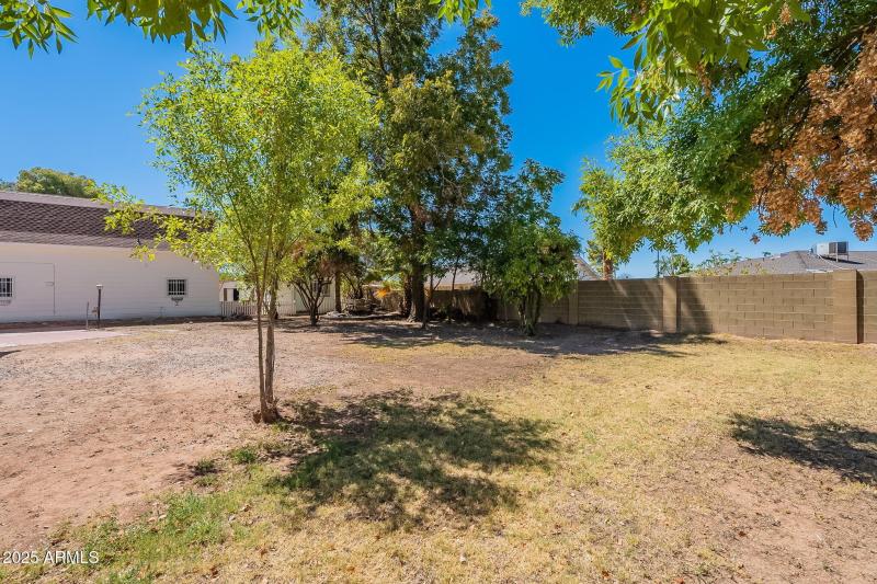 Side yard