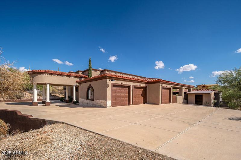 20250911_8170-E-Golden-Spur_02