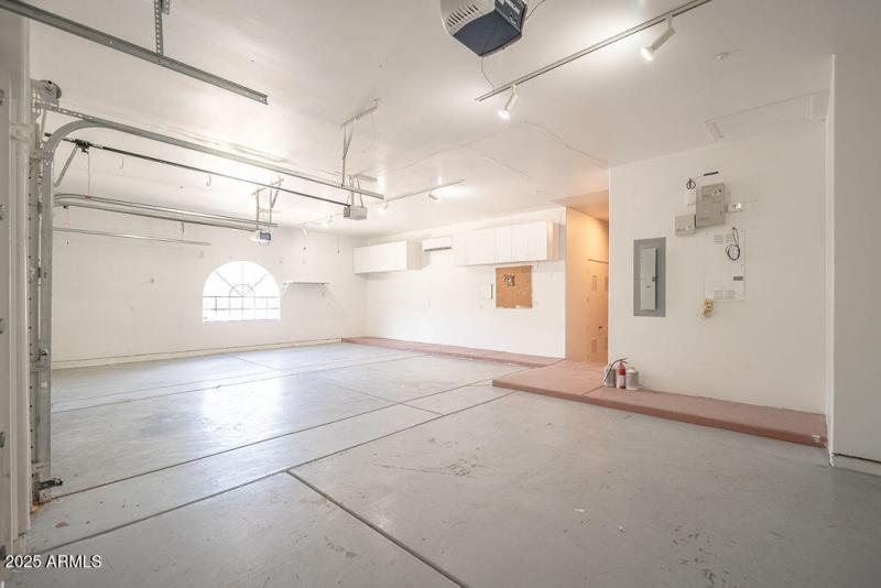 20250911_8170-E-Golden-Spur_21