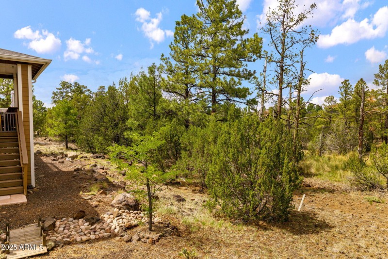 2040EBluffRidgeRd-ShowLow-AZ-33