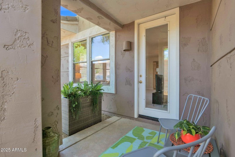 Back patio