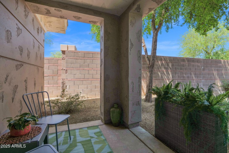 Back patio