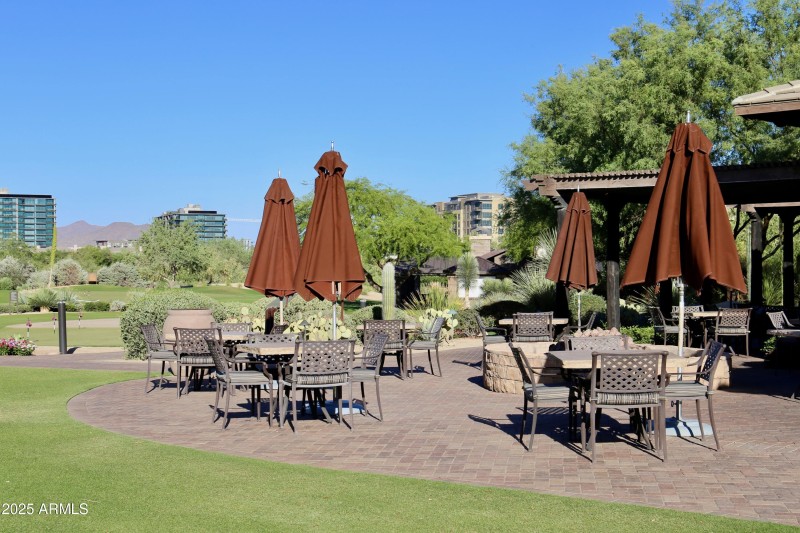 Brittle Bush @ Westin Golf