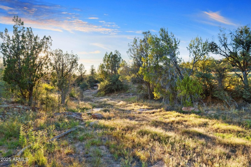 52-Backyard (1)