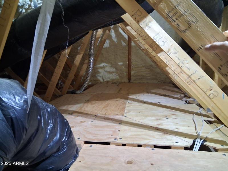 Attic Loft for Storage (1)