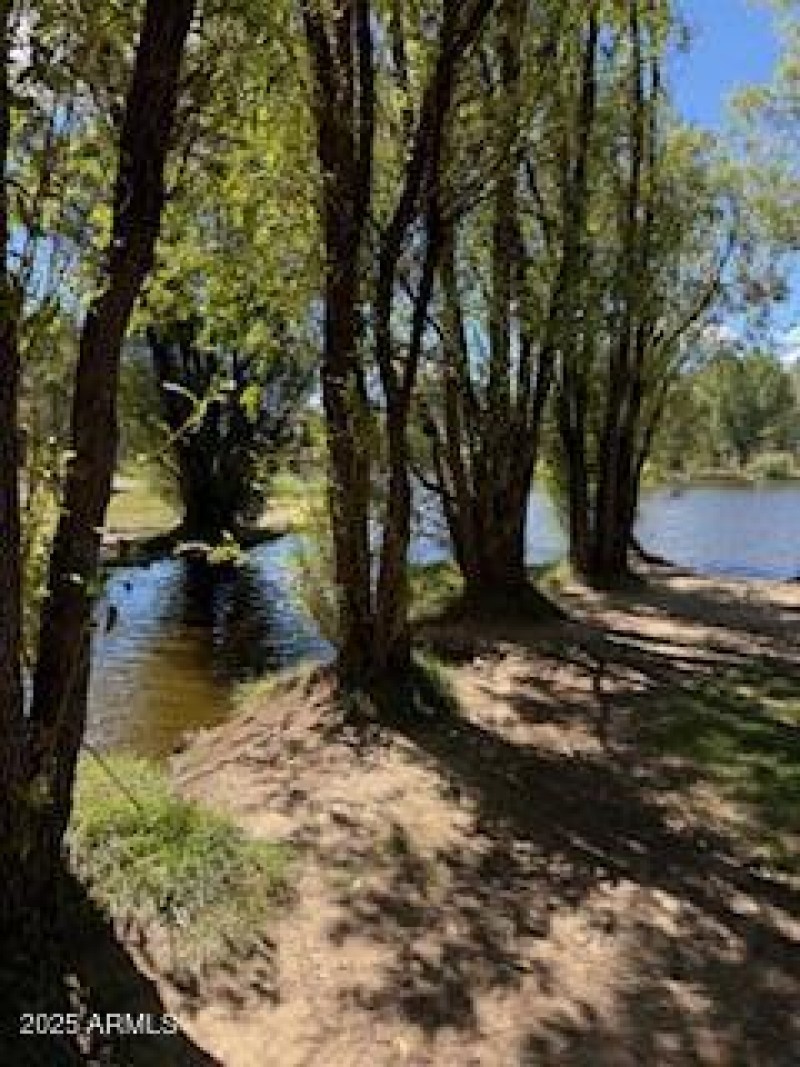 Fishing Pond