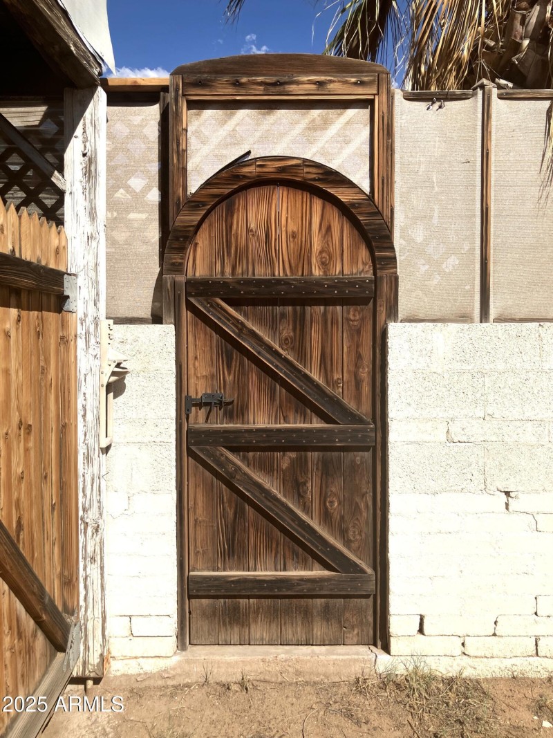 Decorative Wood Door off Driveway