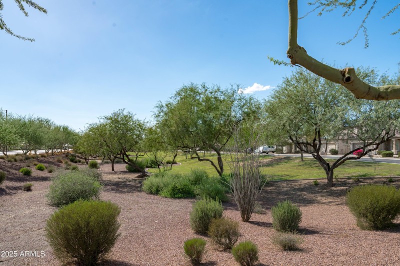 40-Park View