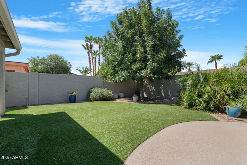 Backyard 4