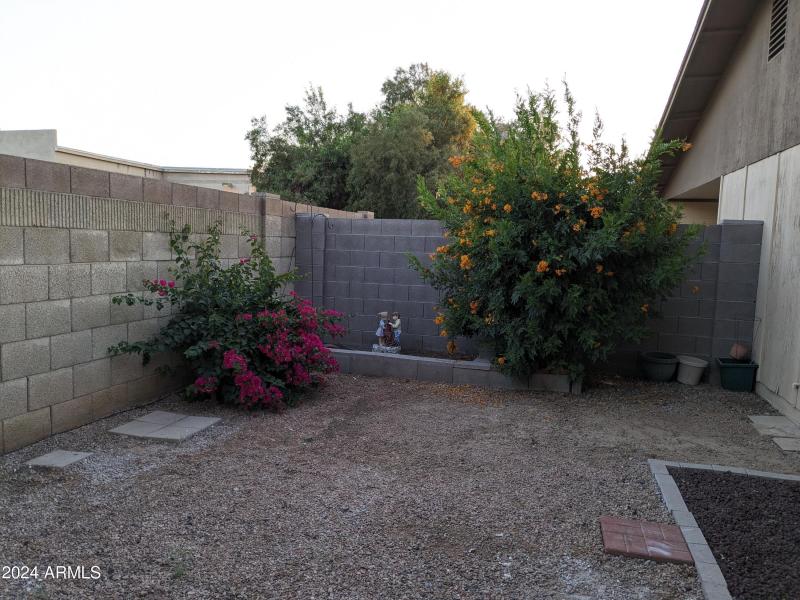 PXL_20240514_020528143 (1)