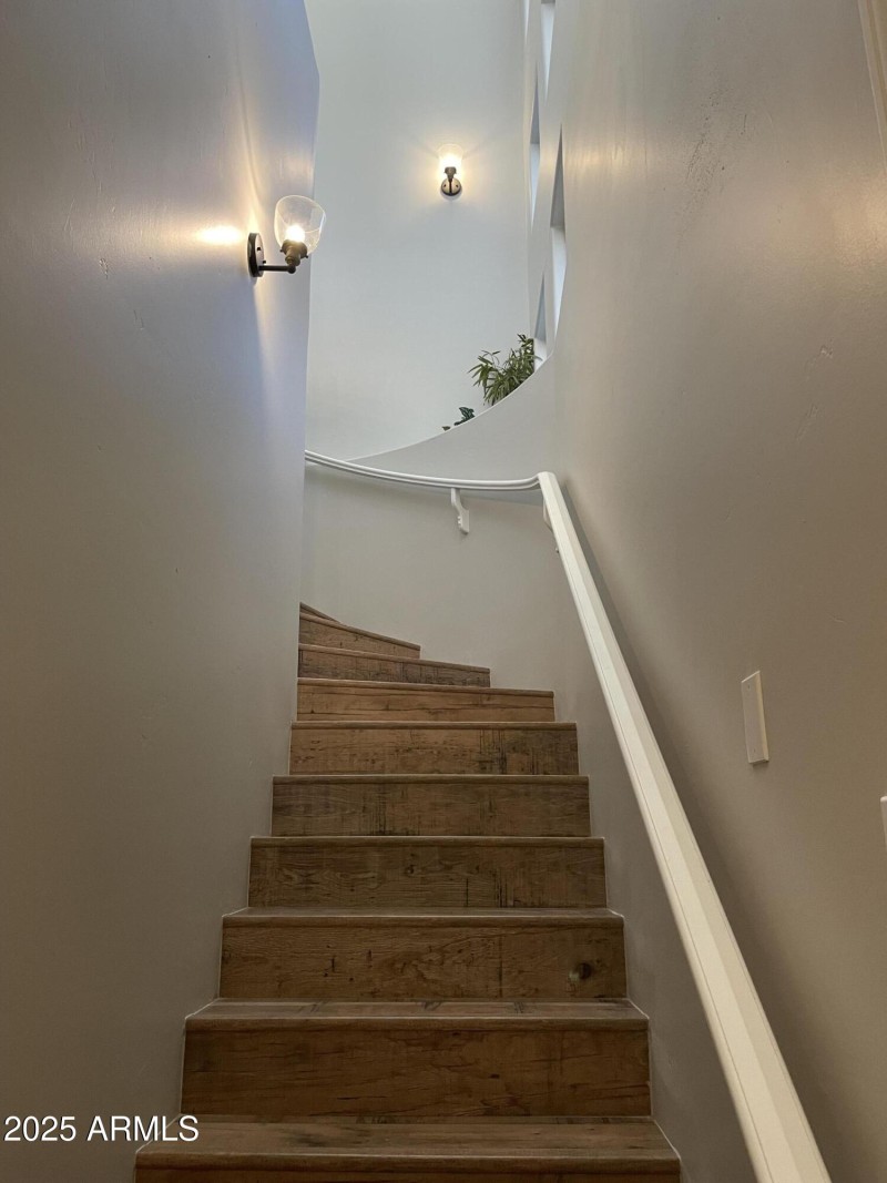JPEG image 3