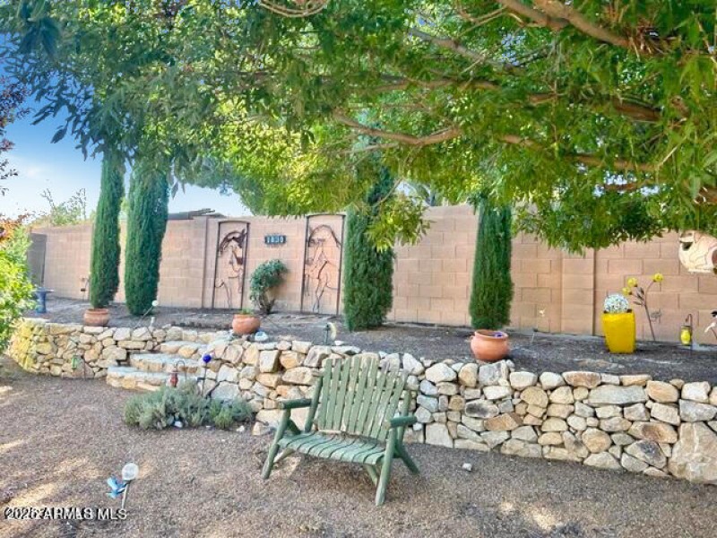 Backyard-1