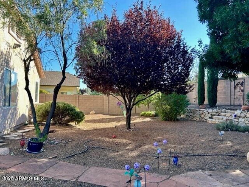 Backyard-3