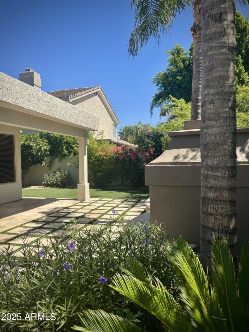 Backyard