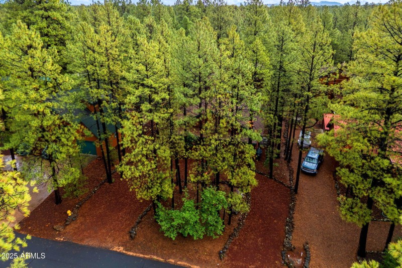 U-Shaped Driveway