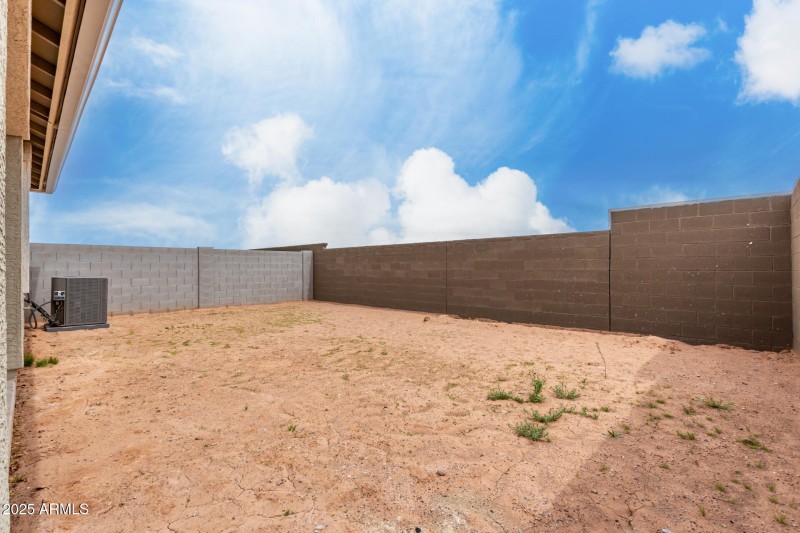 30 Saguaro