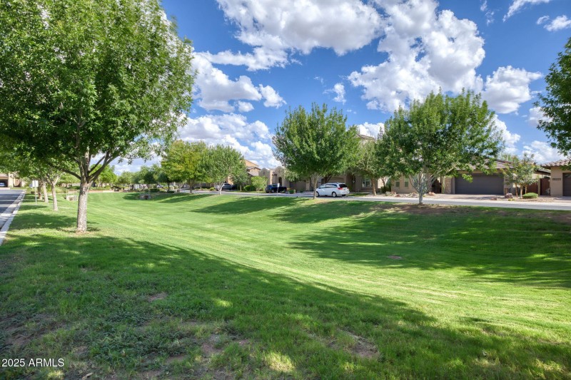 Rosewood Grove Community Parks