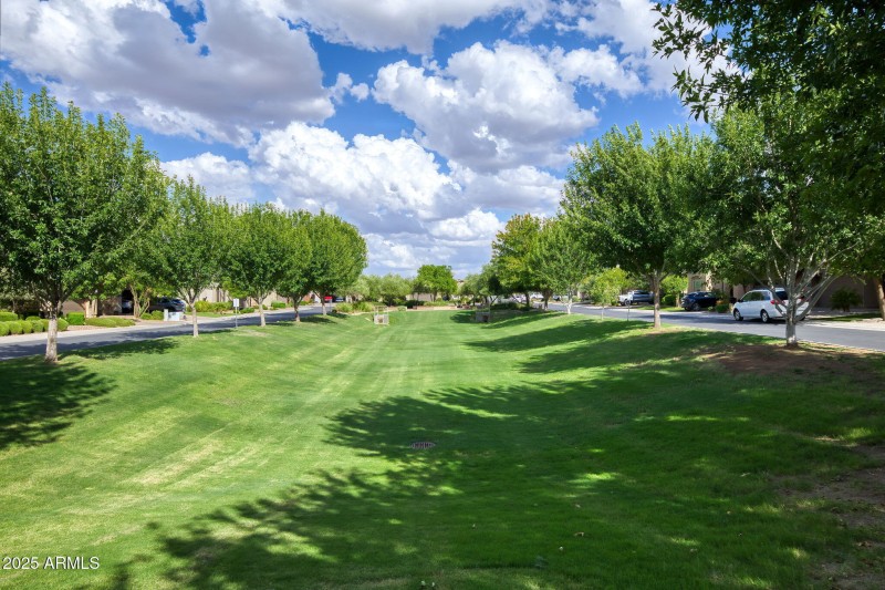 Rosewood Grove Community Parks