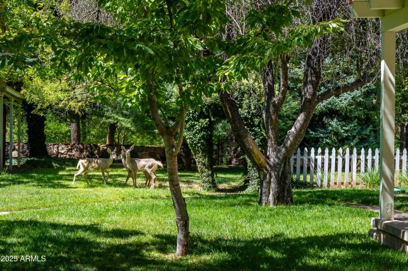 500 Old Indian Rd Sedona AZ-17